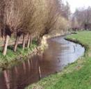 Heiloo