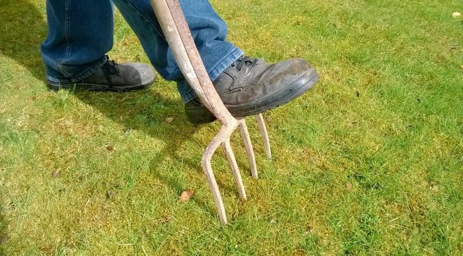 Gemeenten kunnen een tegenprestatie voor bijstand verplichten